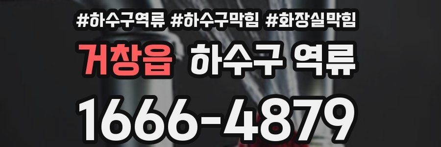 거창읍 하수구 역류