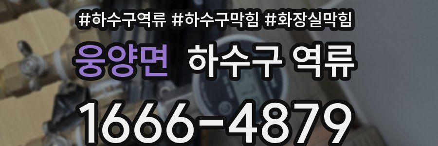 웅양면 하수구 역류