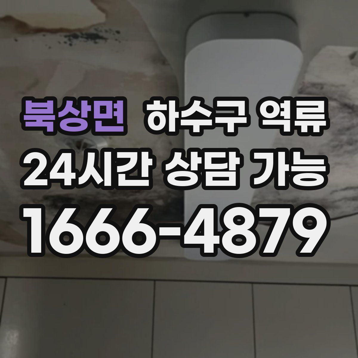 북상면 하수구 역류