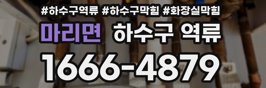 마리면 하수구 역류