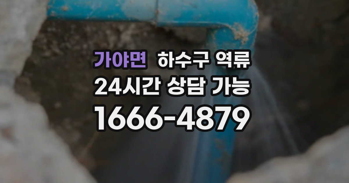 가야면 하수구 역류