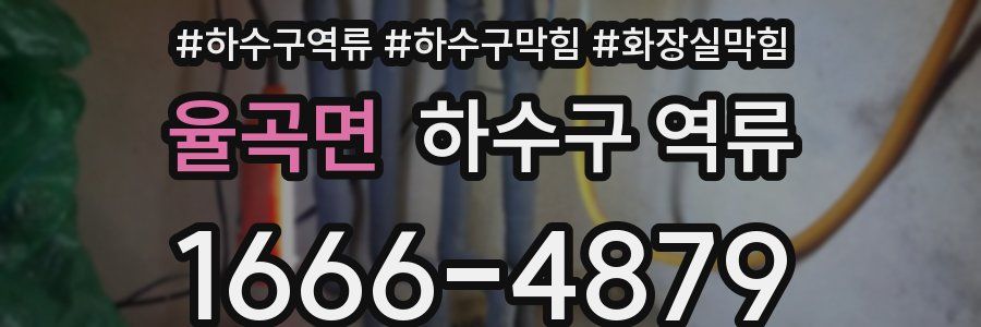 율곡면 하수구 역류