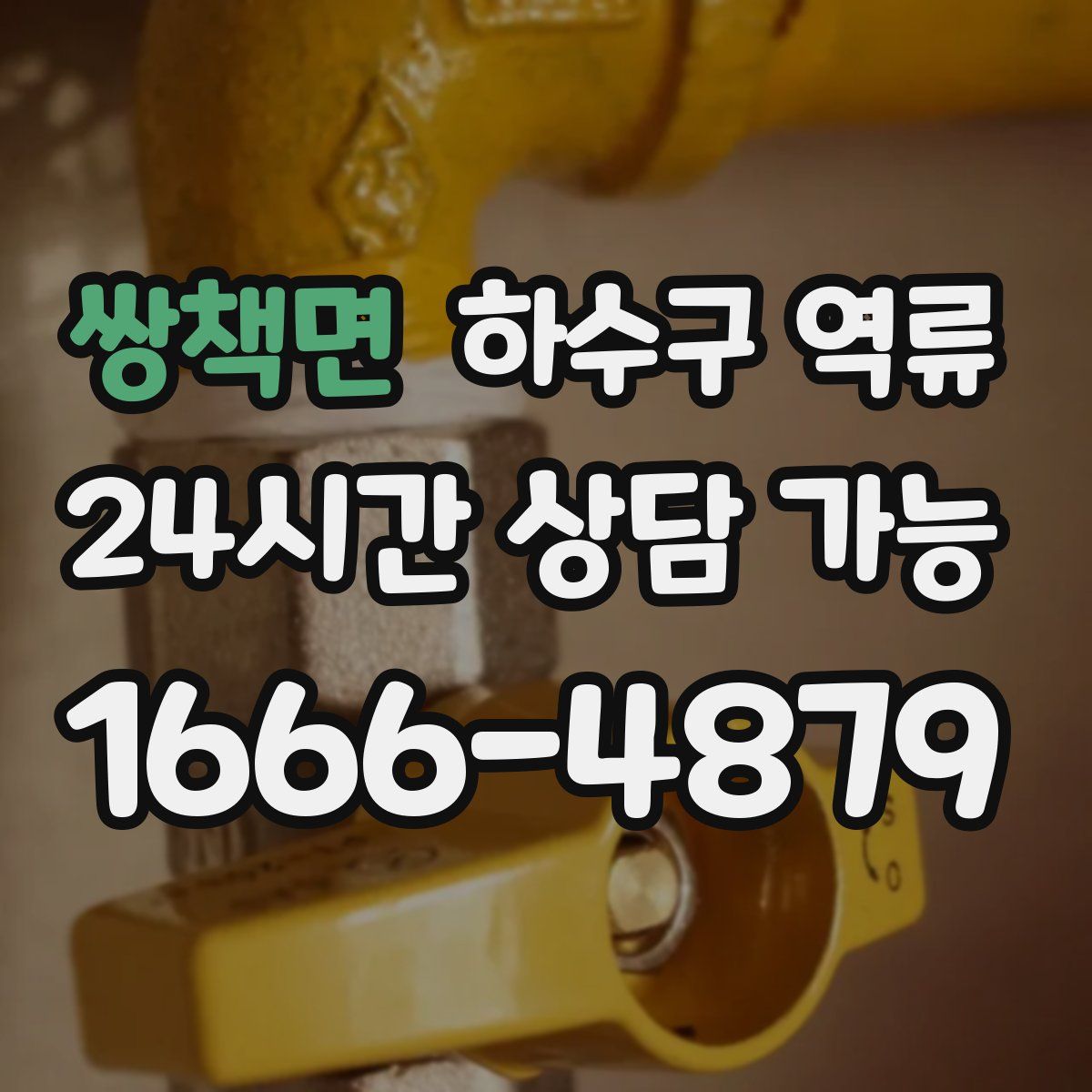 쌍책면 하수구 역류