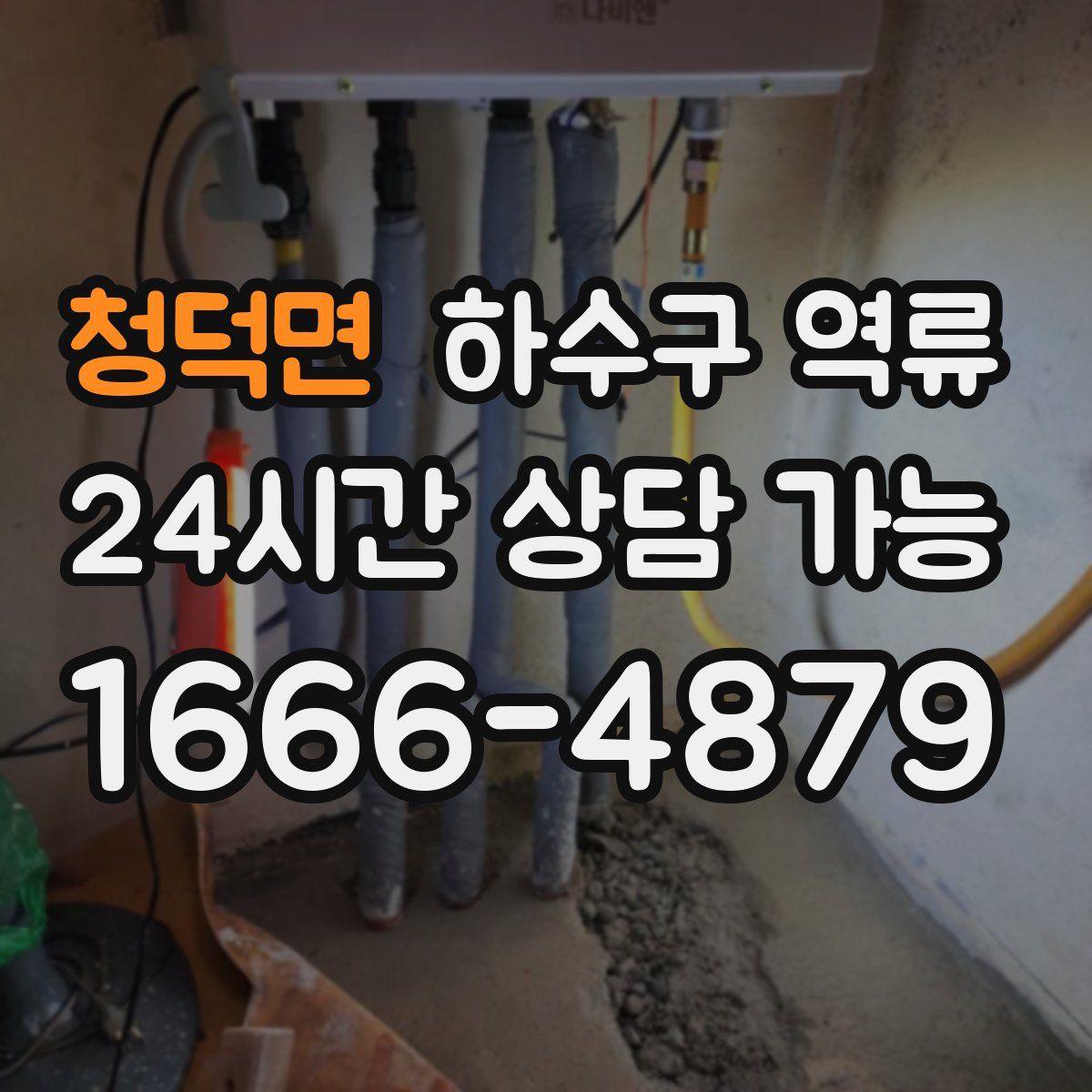 청덕면 하수구 역류