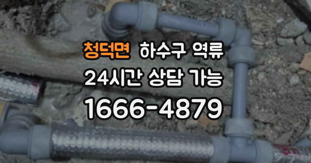 청덕면 하수구 역류