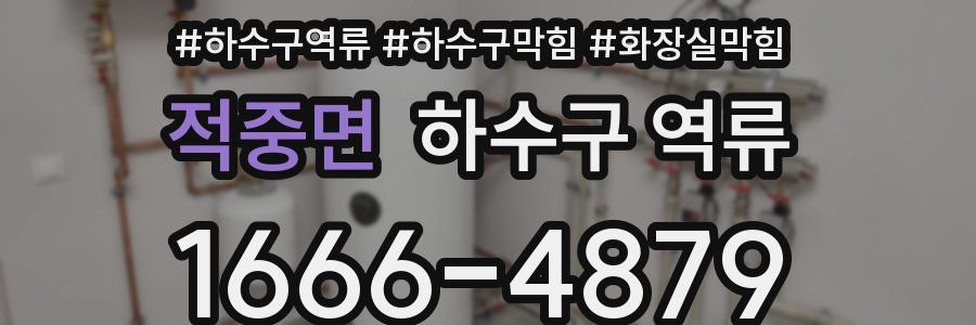 적중면 하수구 역류