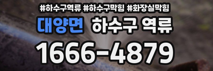 대양면 하수구 역류