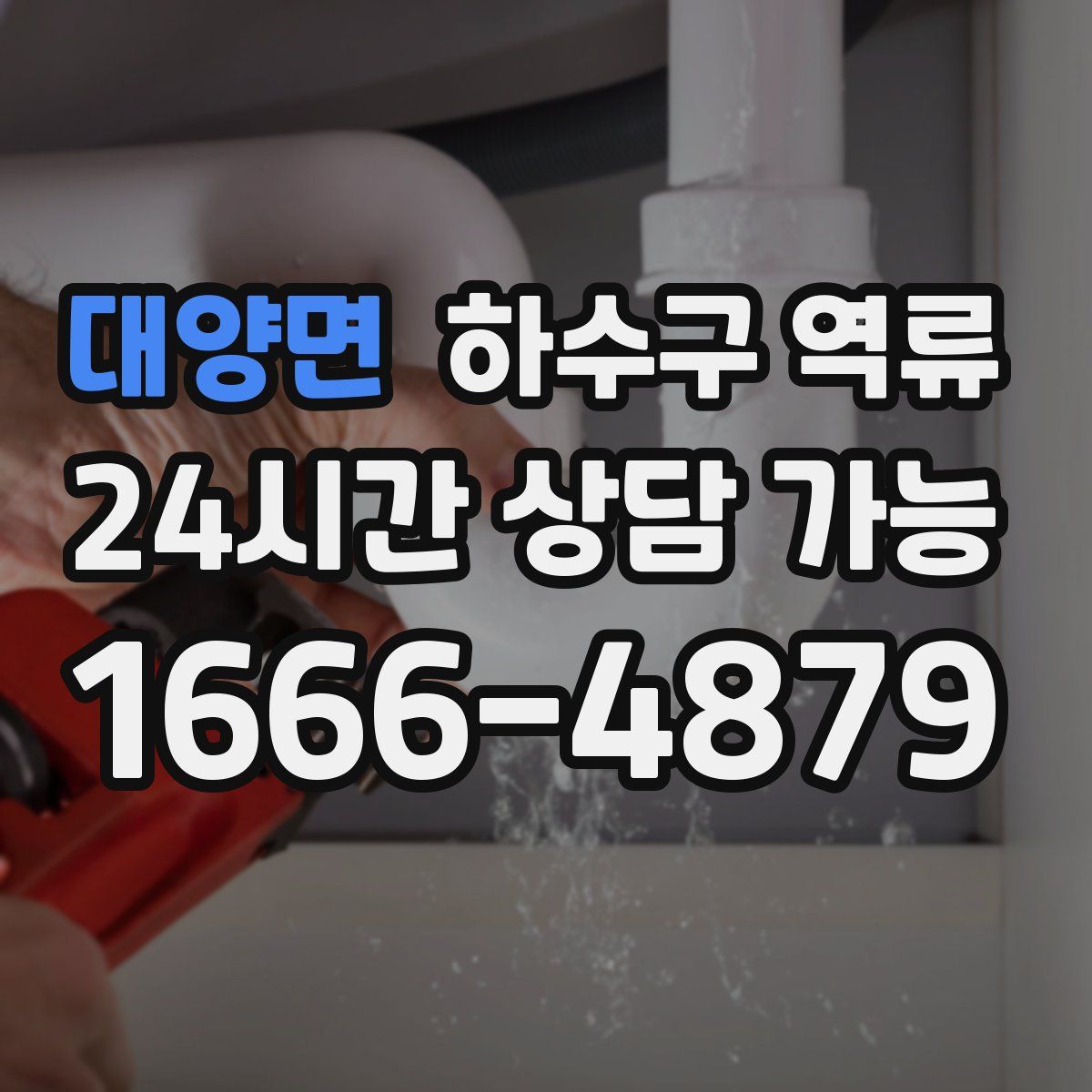 대양면 하수구 역류
