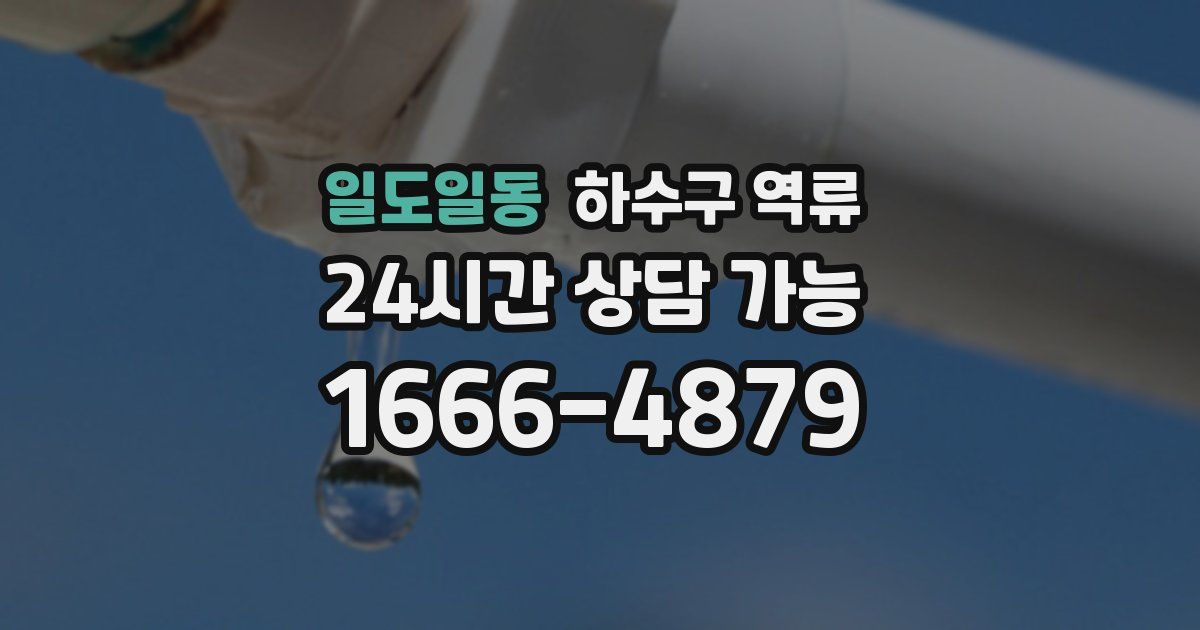일도일동 하수구 역류