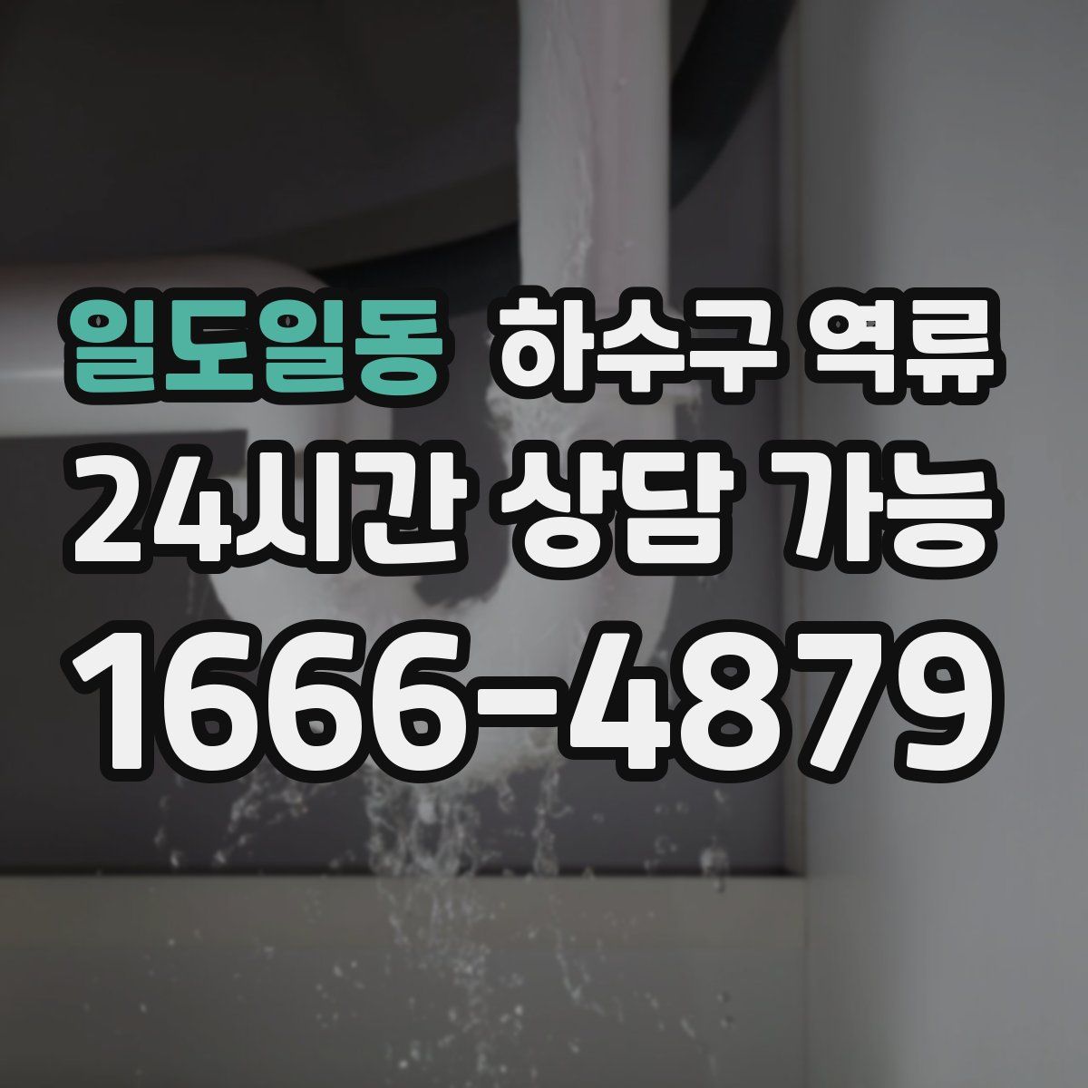 일도일동 하수구 역류