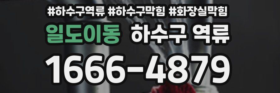 일도이동 하수구 역류