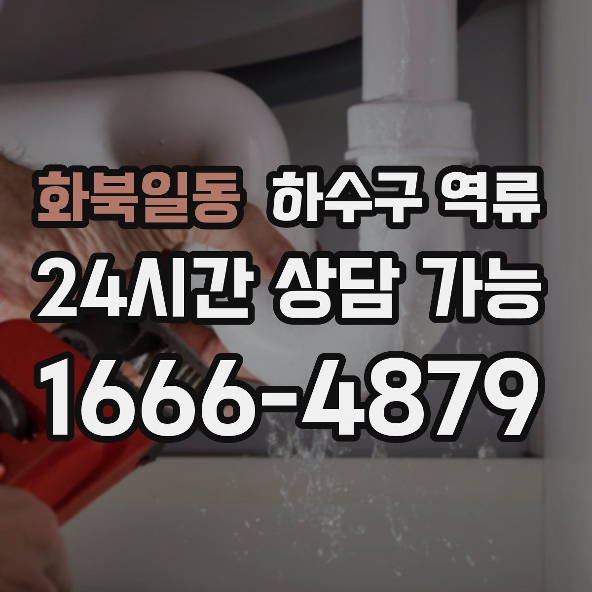 화북일동 하수구 역류