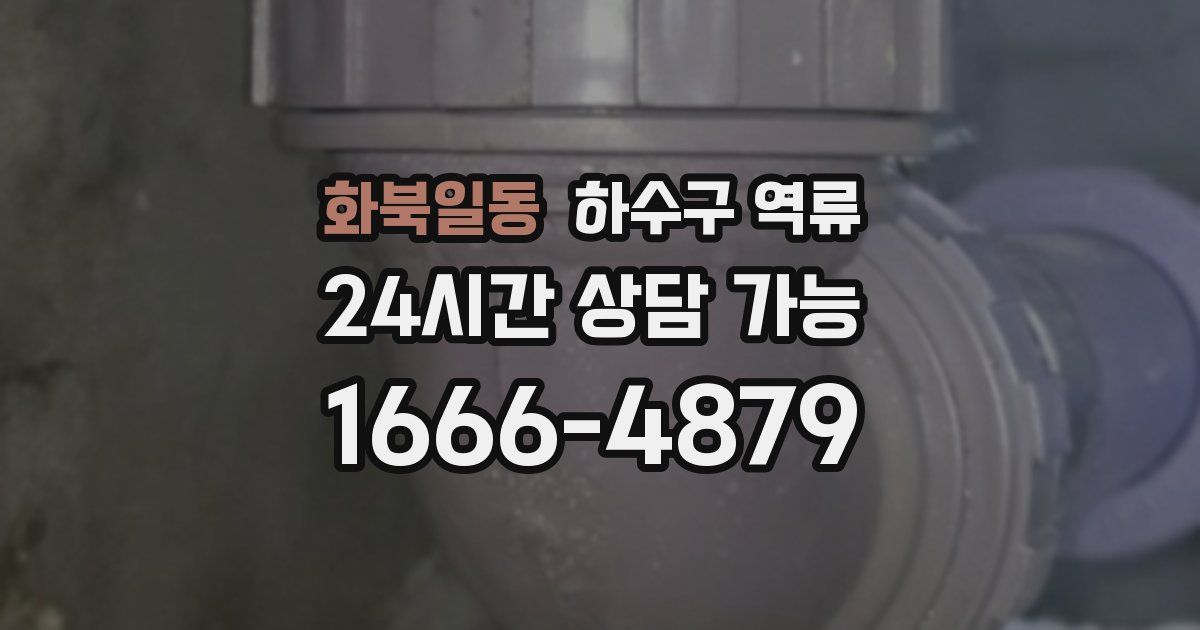 화북일동 하수구 역류