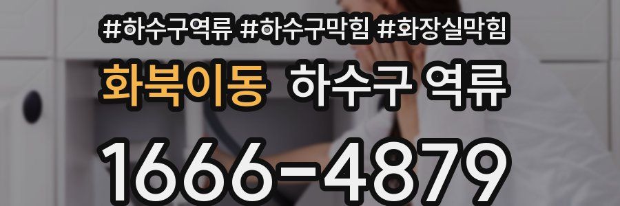 화북이동 하수구 역류