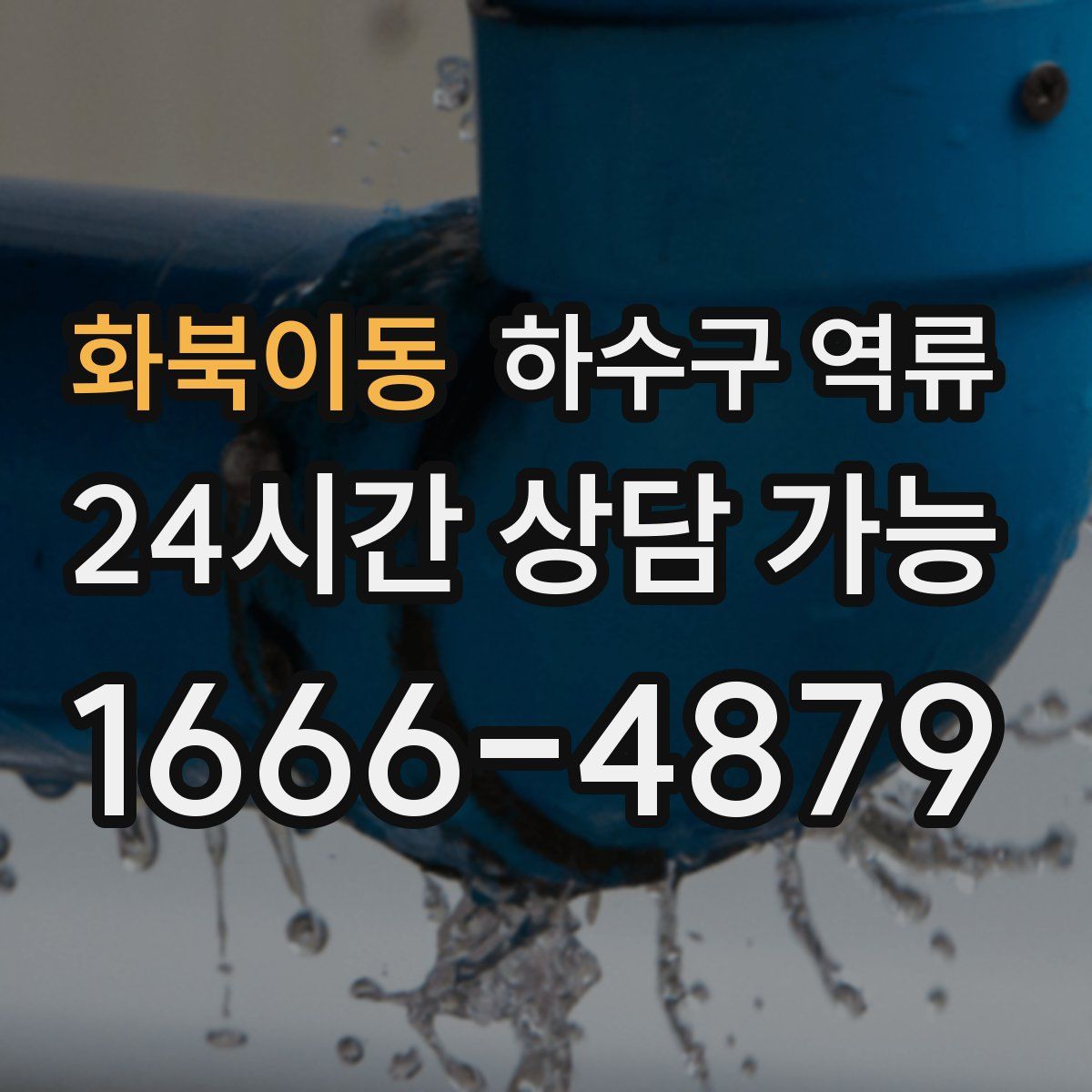 화북이동 하수구 역류