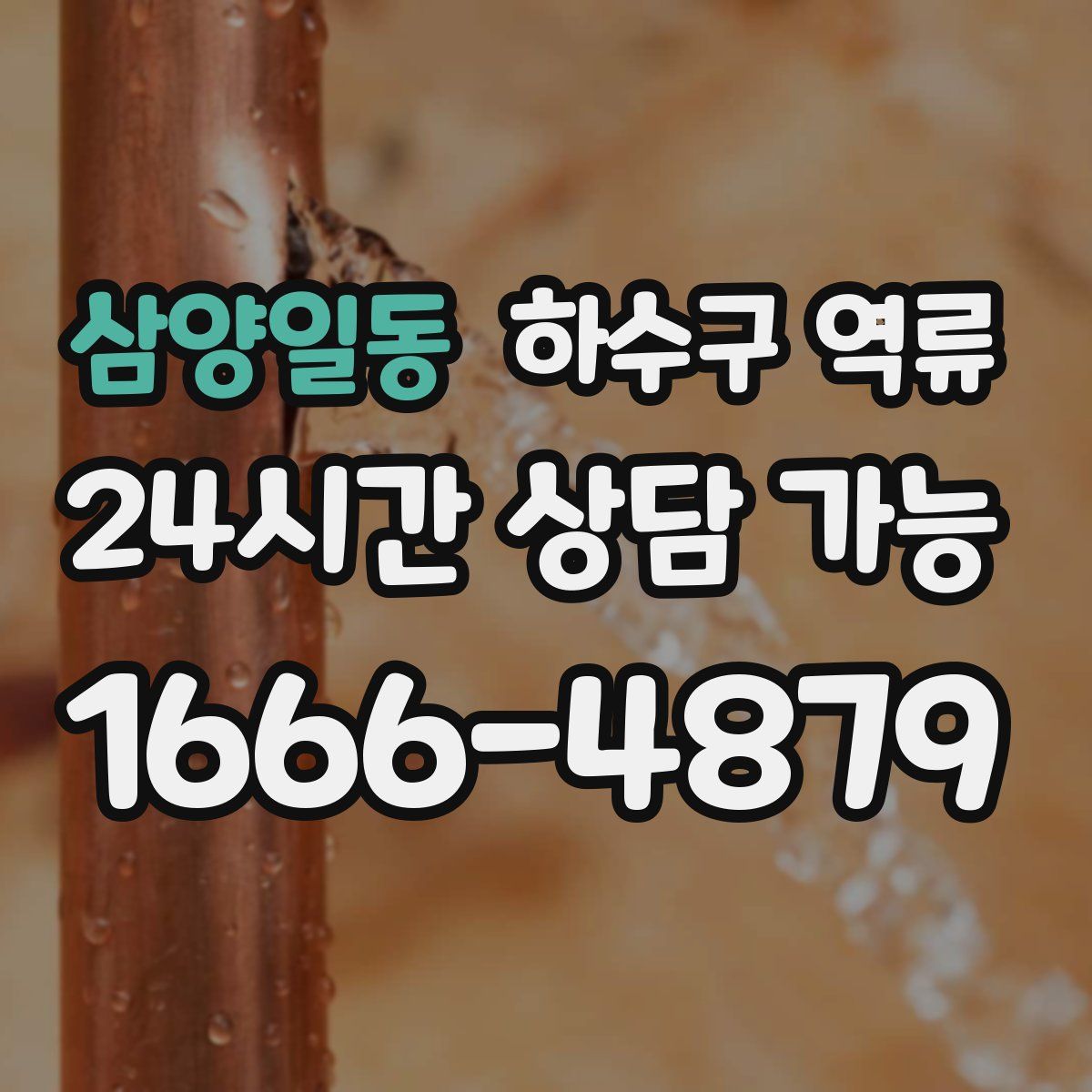 삼양일동 하수구 역류