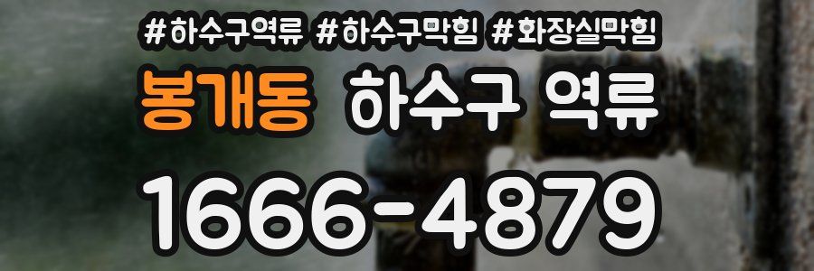 봉개동 하수구 역류