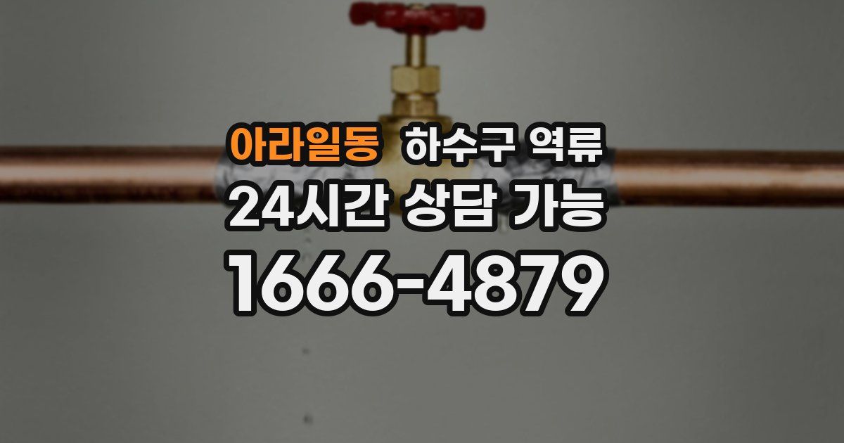 아라일동 하수구 역류