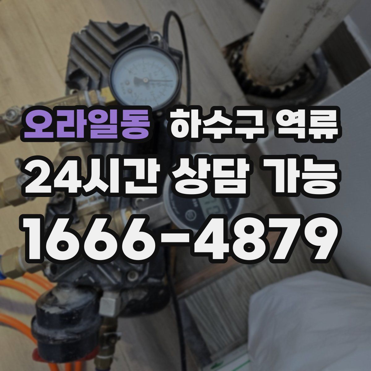 오라일동 하수구 역류