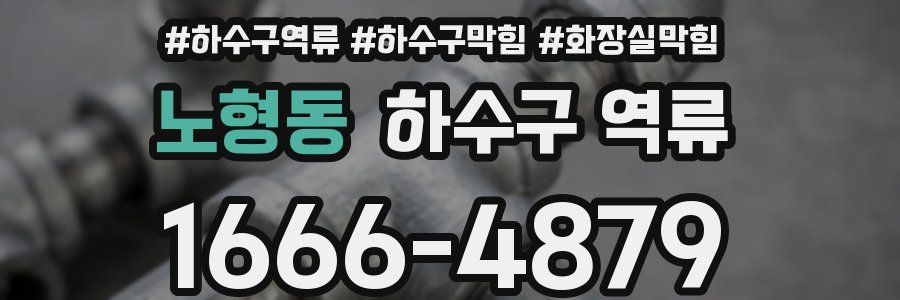 노형동 하수구 역류