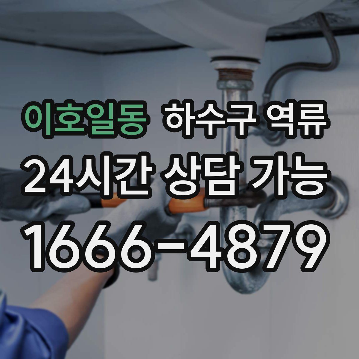 이호일동 하수구 역류