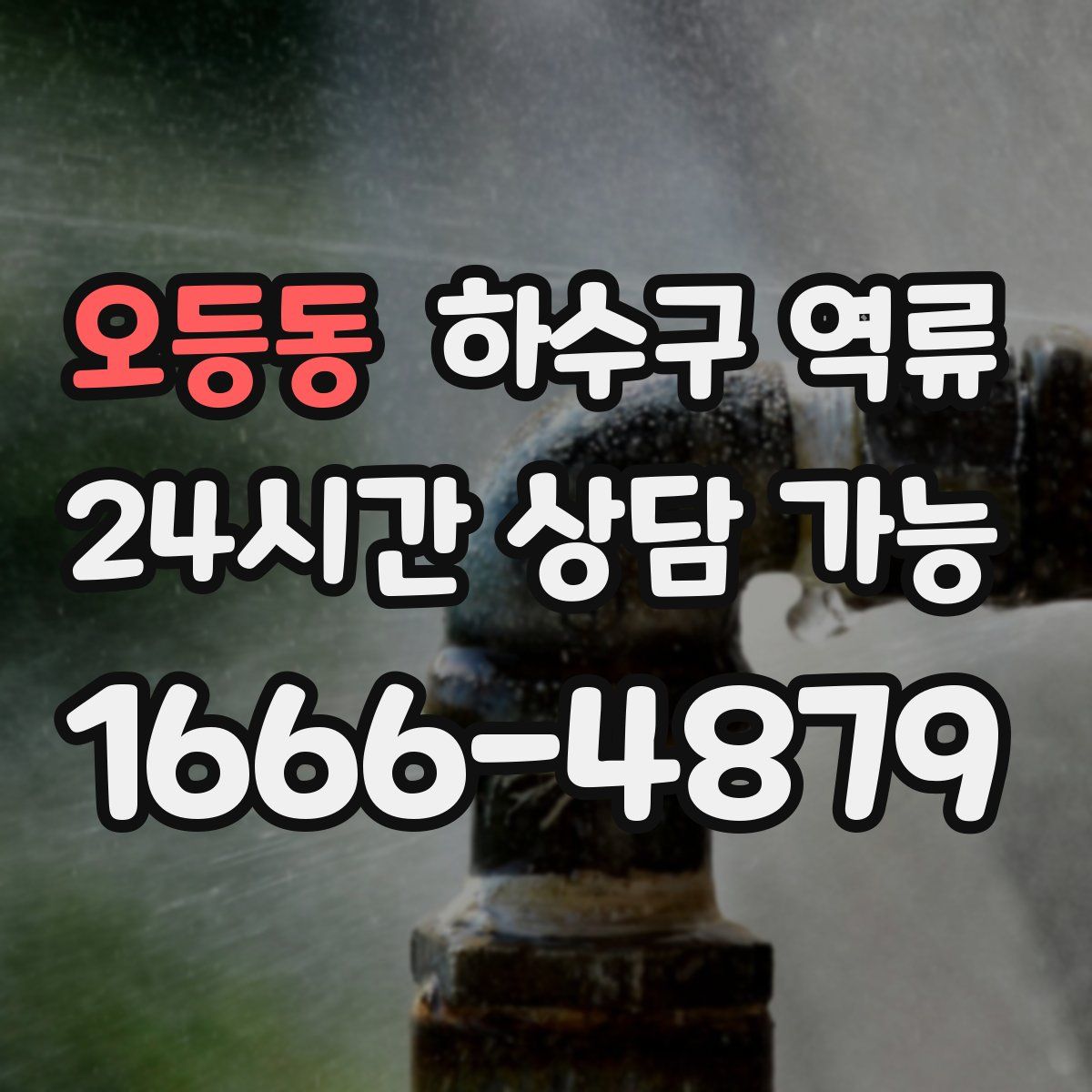 오등동 하수구 역류