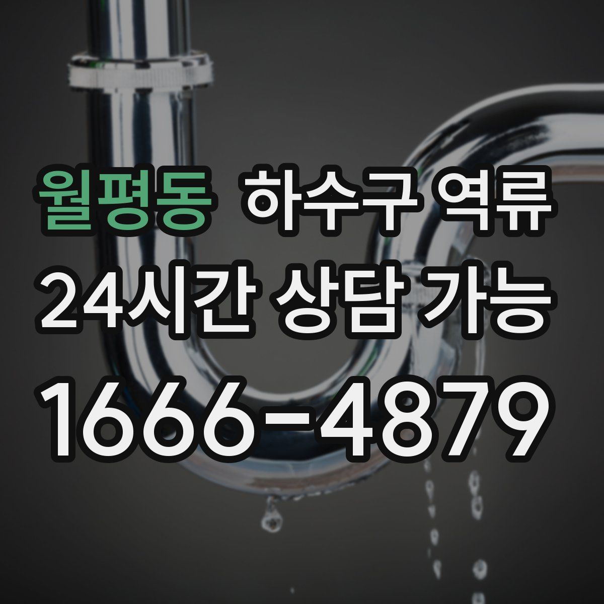 월평동 하수구 역류