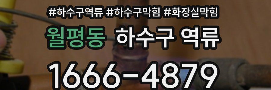 월평동 하수구 역류