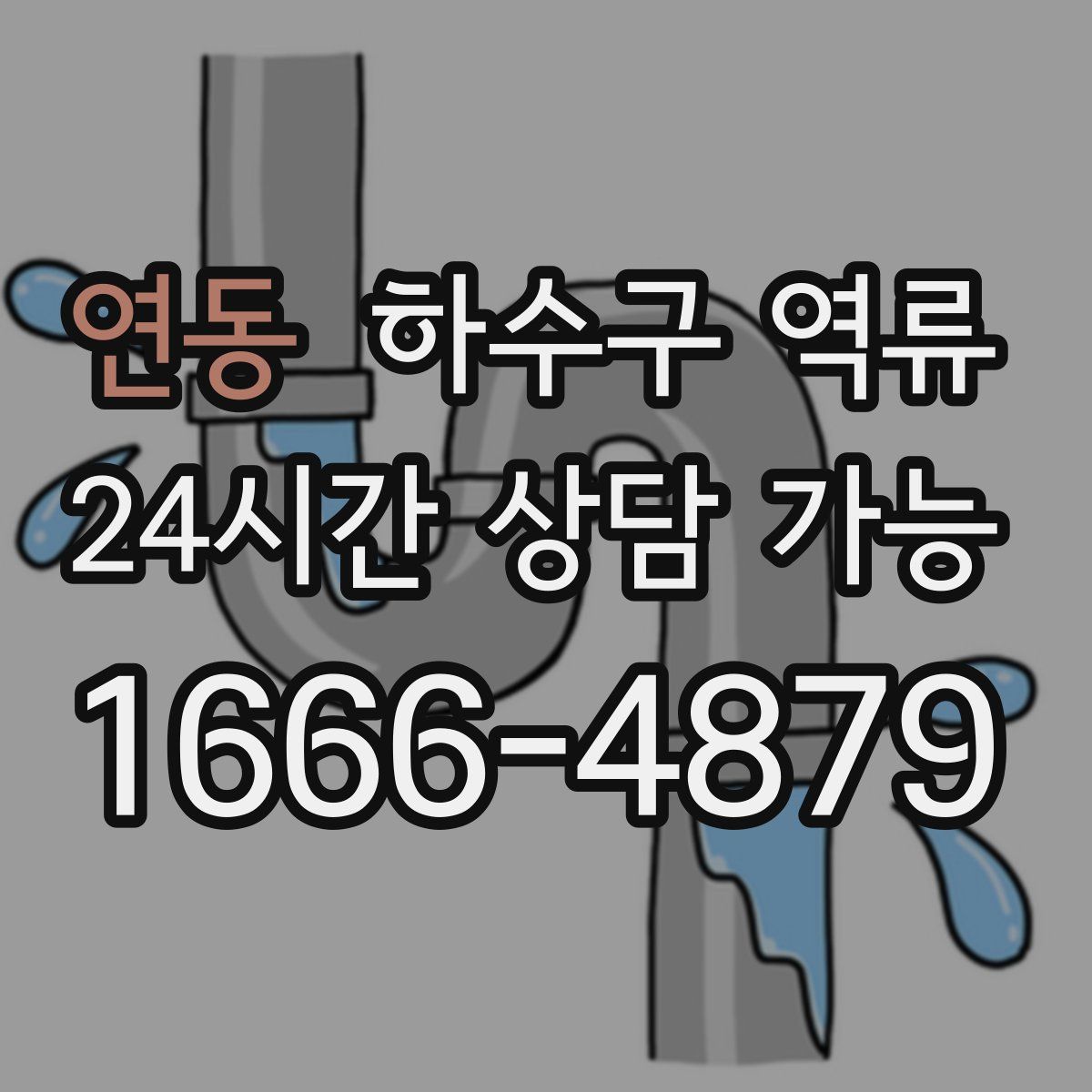 연동 하수구 역류