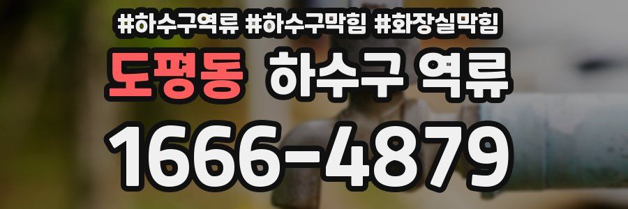 도평동 하수구 역류