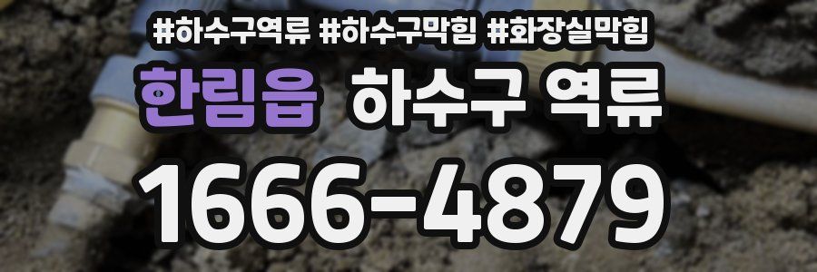 한림읍 하수구 역류