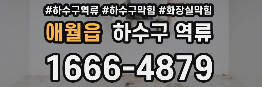 애월읍 하수구 역류