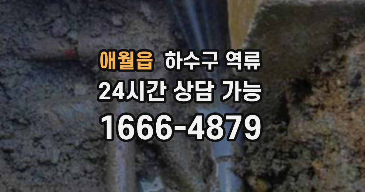 애월읍 하수구 역류