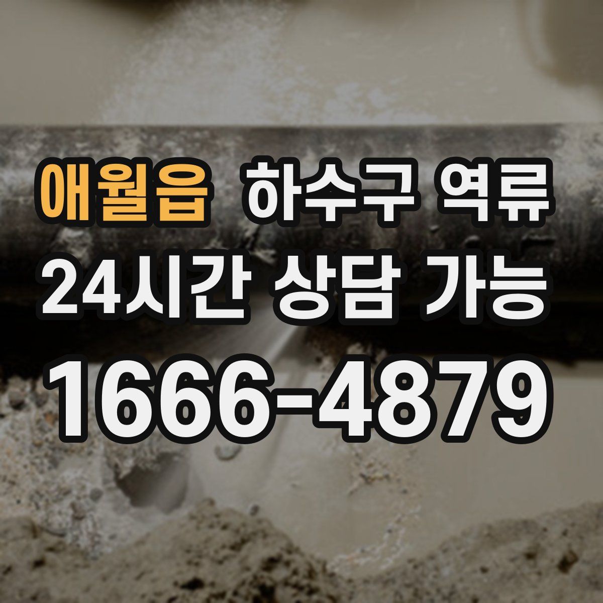 애월읍 하수구 역류