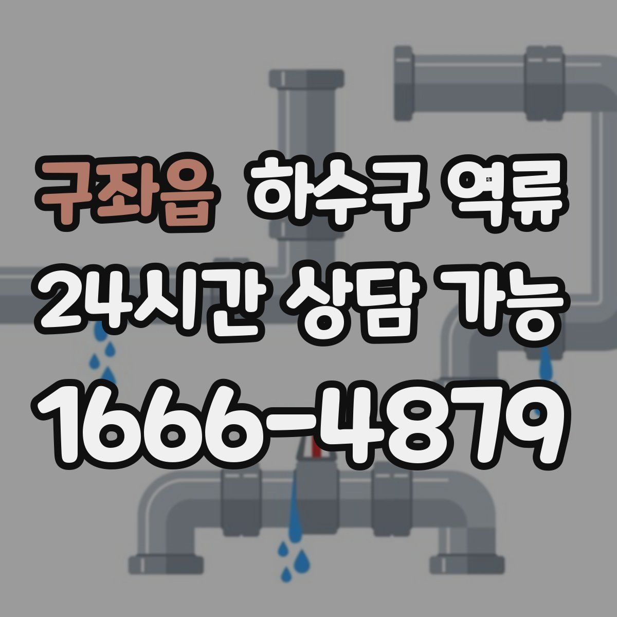 구좌읍 하수구 역류