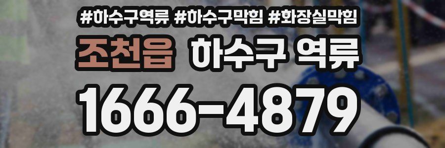 조천읍 하수구 역류