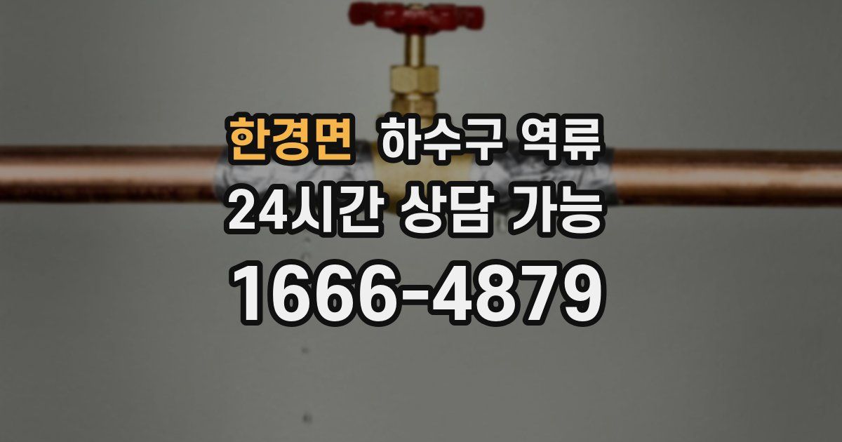 한경면 하수구 역류