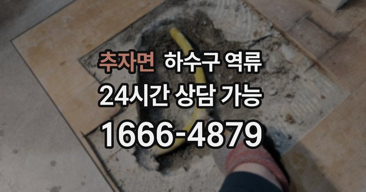 추자면 하수구 역류