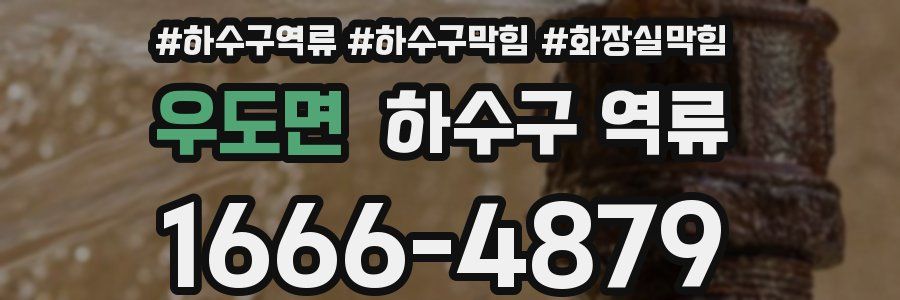 우도면 하수구 역류