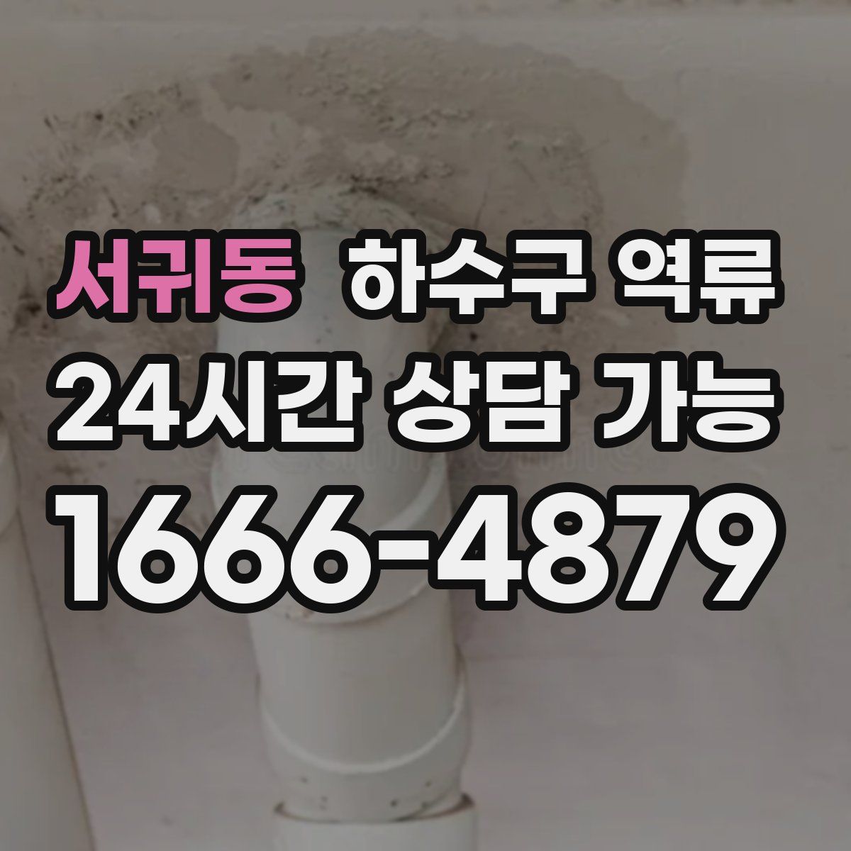 서귀동 하수구 역류