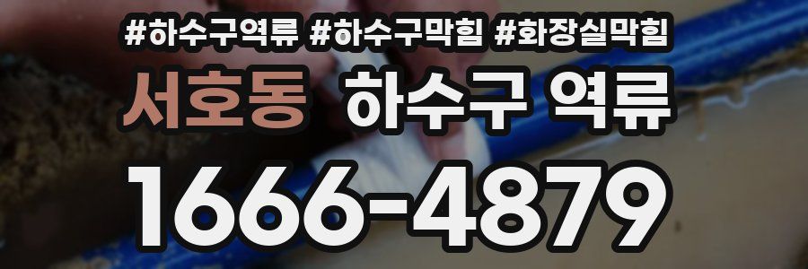 서호동 하수구 역류