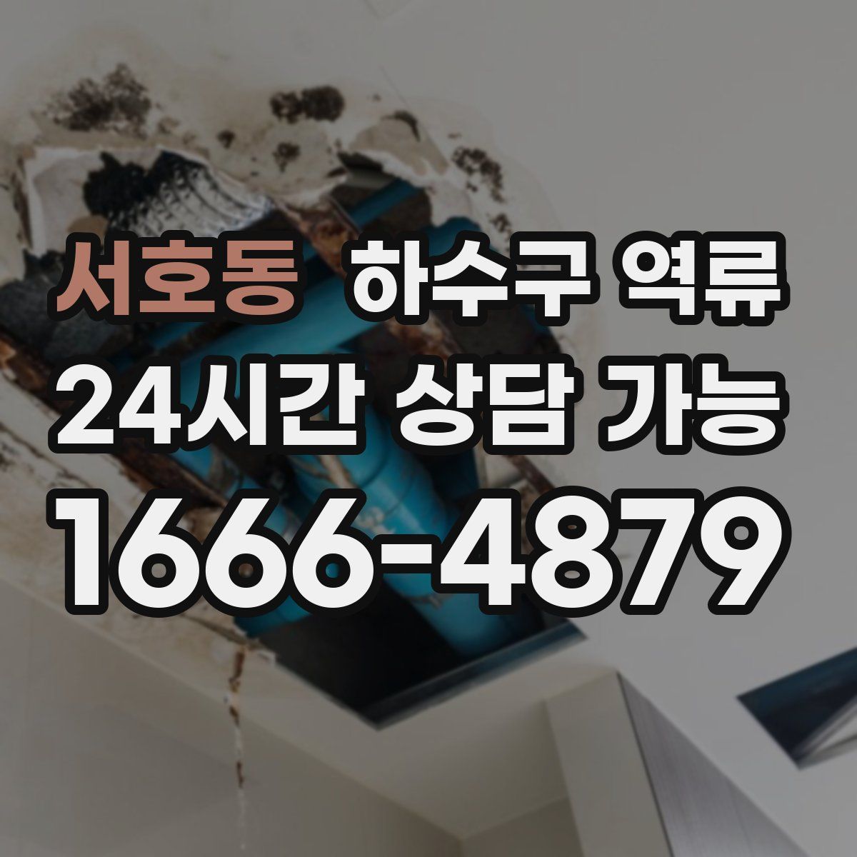 서호동 하수구 역류