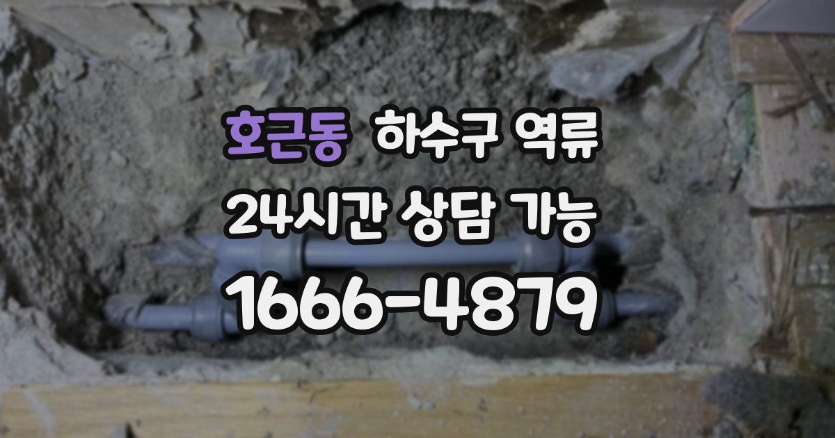 호근동 하수구 역류