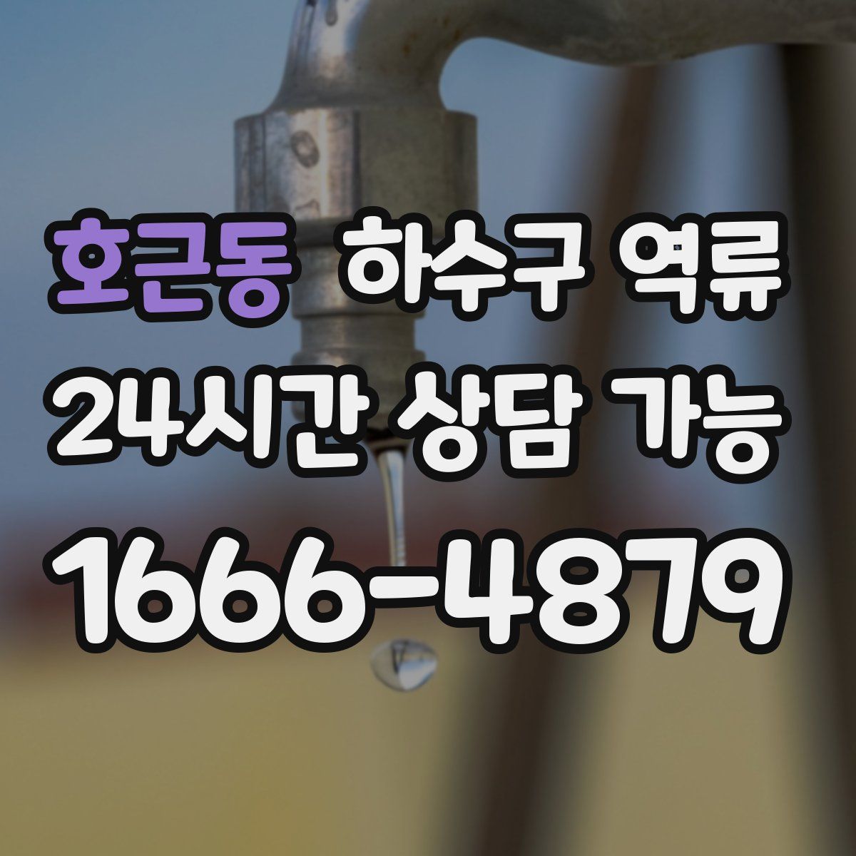 호근동 하수구 역류