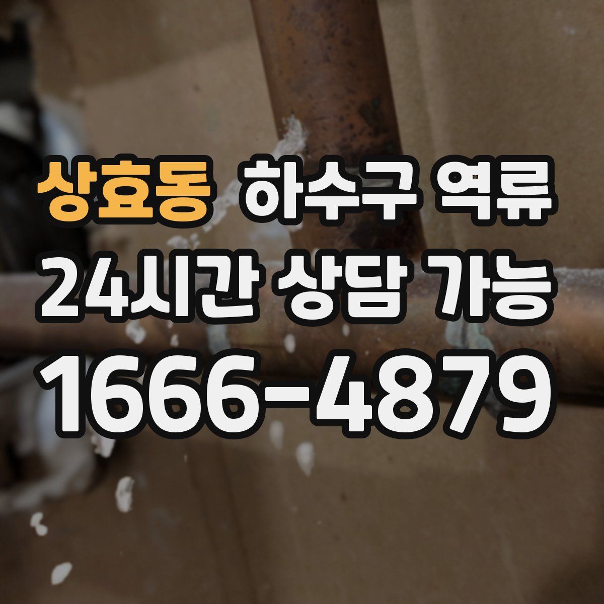 상효동 하수구 역류