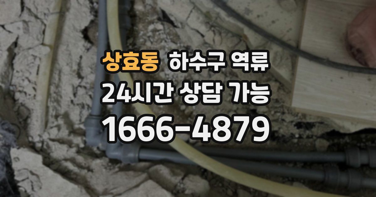 상효동 하수구 역류