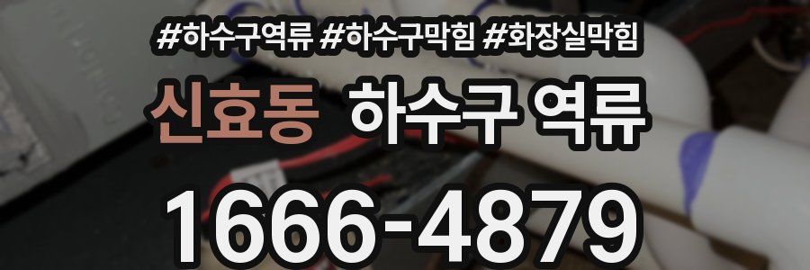 신효동 하수구 역류