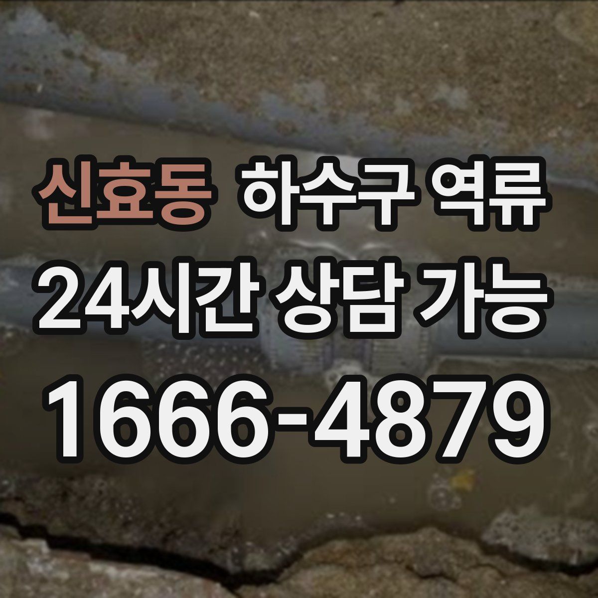 신효동 하수구 역류