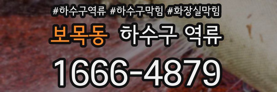 보목동 하수구 역류