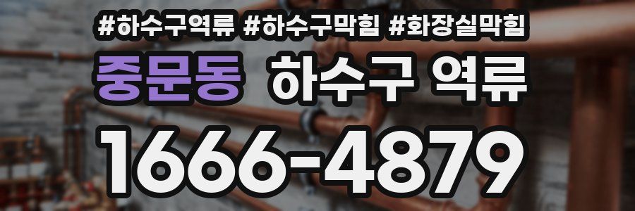 중문동 하수구 역류